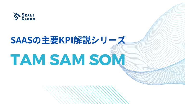 TAM/SAM/SOM